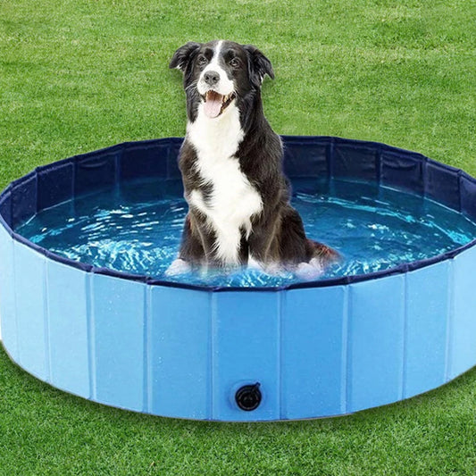 Portable Scratch Resistance Dog Swimming Pool & Cover